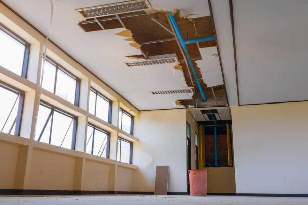 Best Carpet water damage restoration  in Hedwig Village, TX