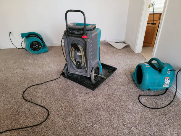 Best Flooded house restoration  in Hedwig Village, TX