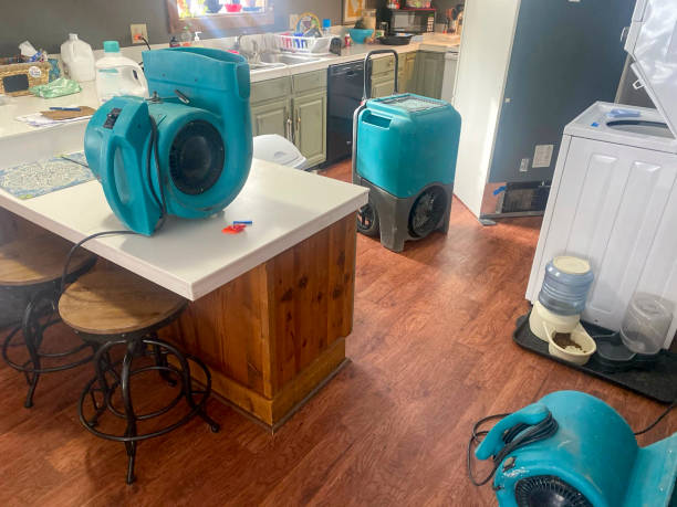 Best Water damage restoration cost  in Hedwig Village, TX
