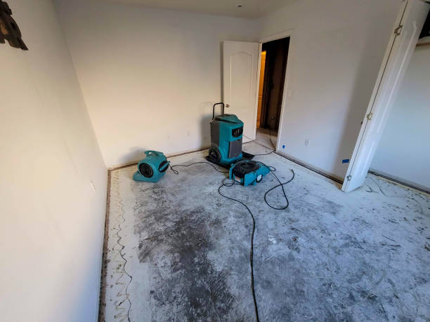 Best Basement water damage restoration  in Hedwig Village, TX
